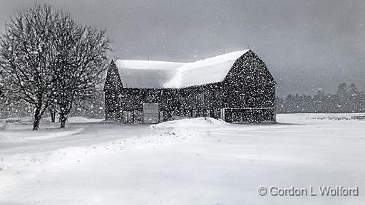 Barn In Snowstorm_DSCF04483.jpg - Photographed at Port Elmsley, Ontario, Canada.